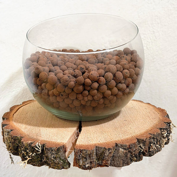 Keramzit 8–16 mm (Plagron Euro Pebbles)